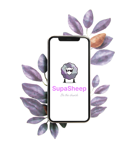 Discover Supa Sheep